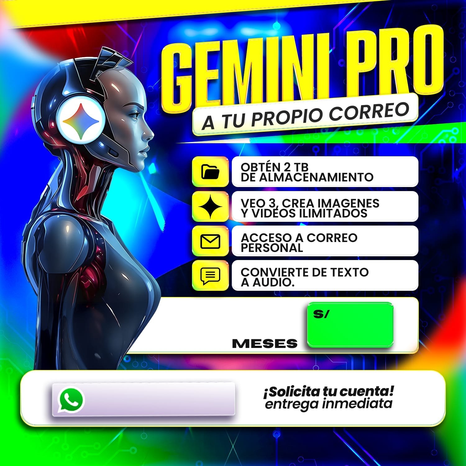 GEMINI PRO 12 MESES